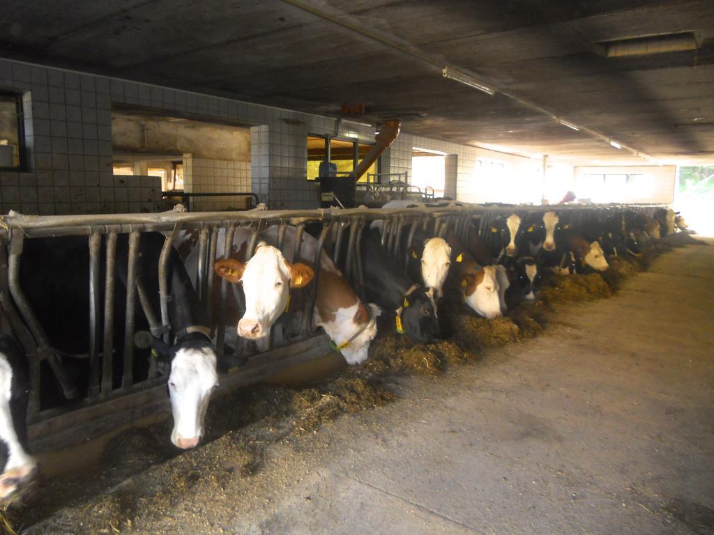 Ferienwohnung Am Bauernhof Strassonig Vulgo Hornis Moosburg Esterno foto